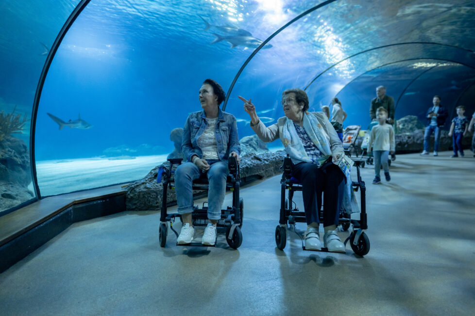 lichte opvouwbare elektrische rolstoel