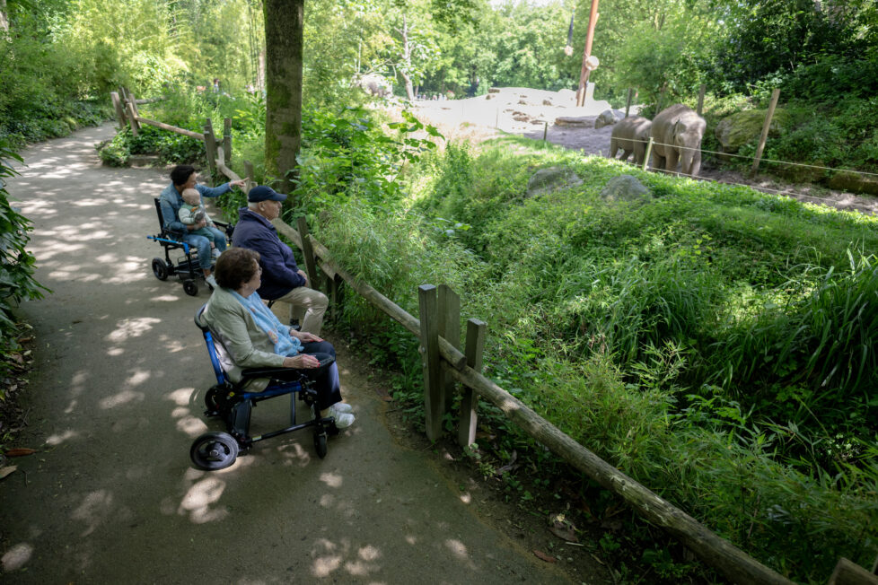 compacte elektrische rolstoel