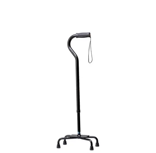 obesitas eiffel 4 poot