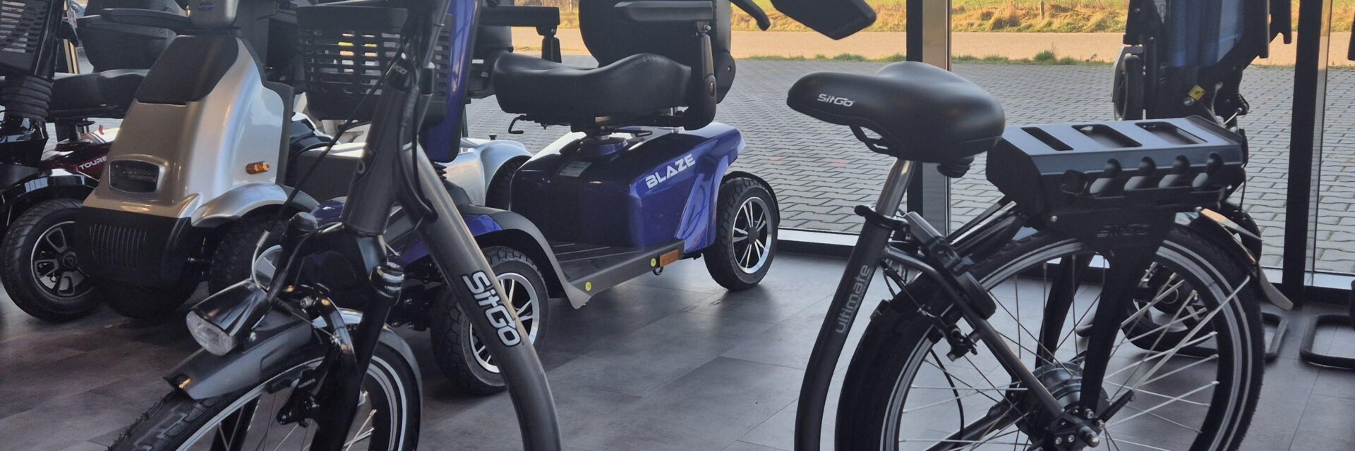 elektrische loopfiets voor volwassenen